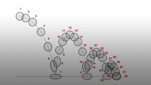 Image-a-ball-bouncing-showing-the-principle-of-arc-in-animation
