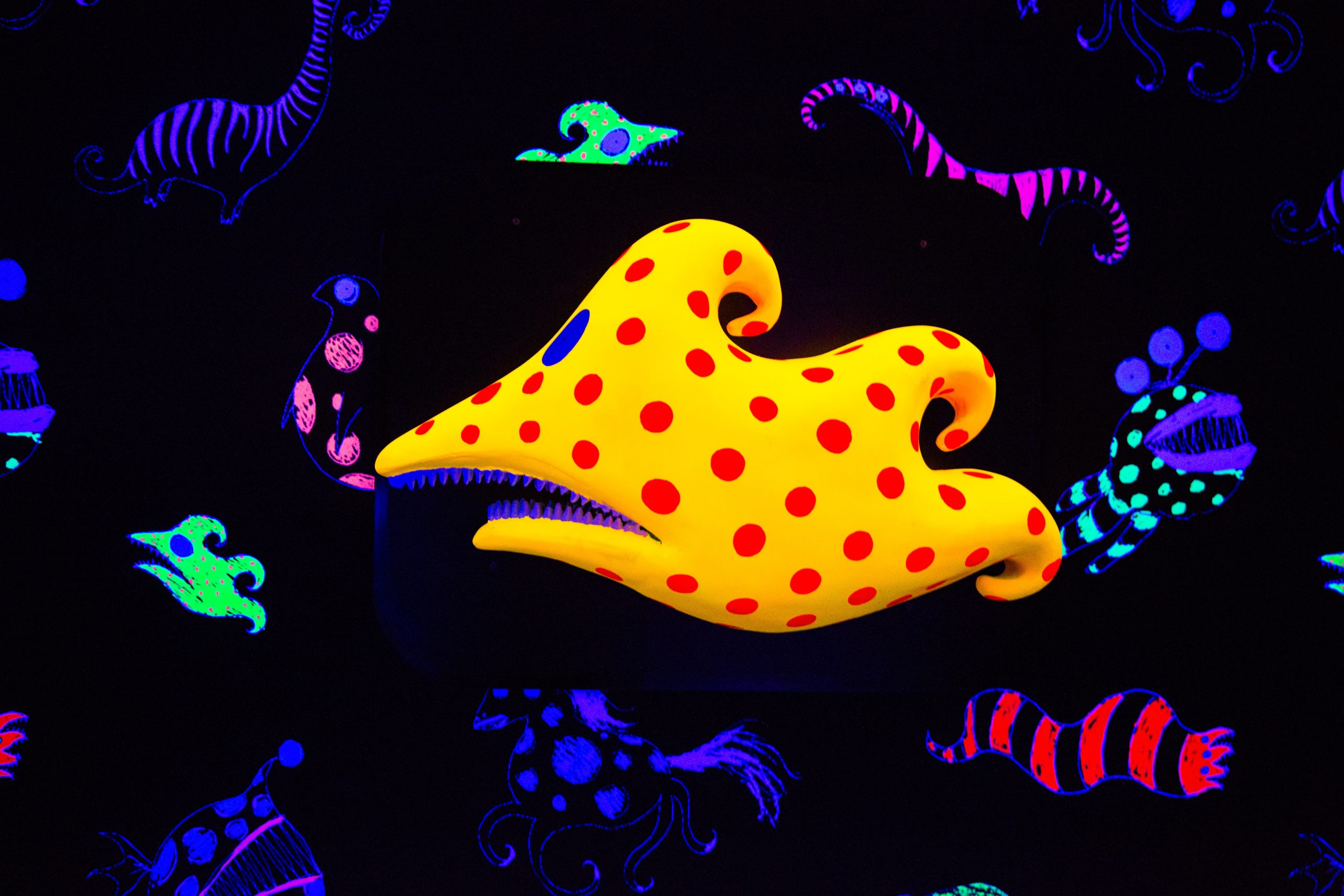 animated fish