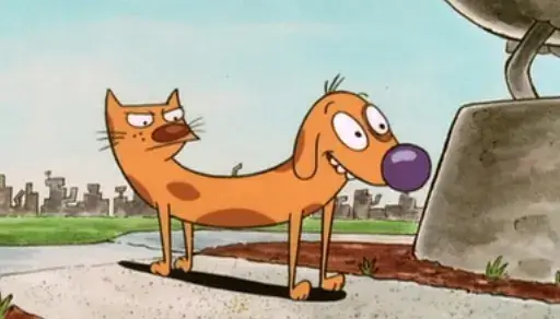 CatDog CatDog