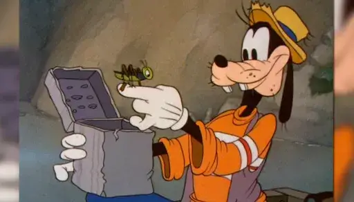 Goofy Goofy