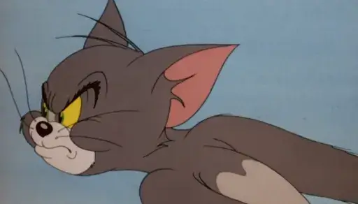 Tom Cat Tom Cat