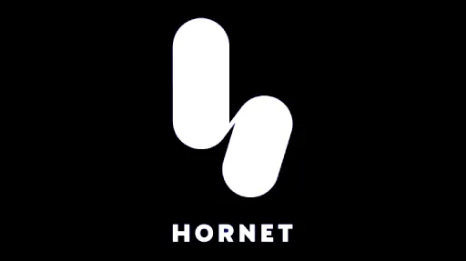 Hornet Hornet